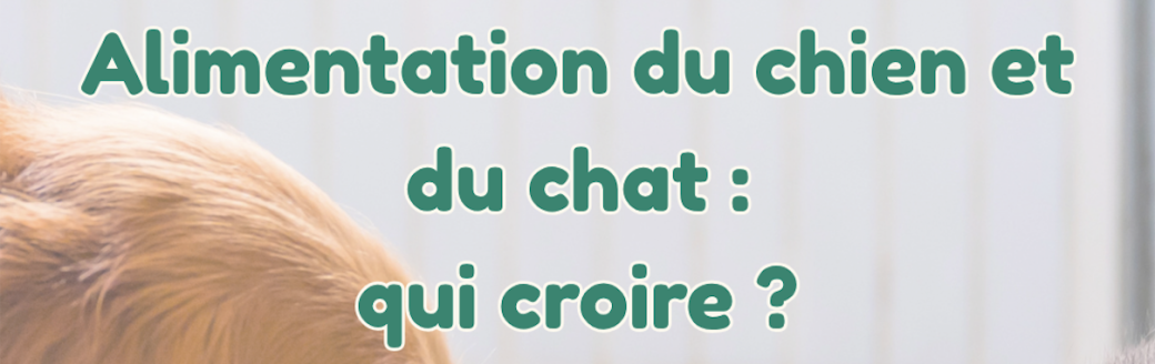 L'alimentation du chat et du chien décryptée par une vétérinaire et une naturopathe animale