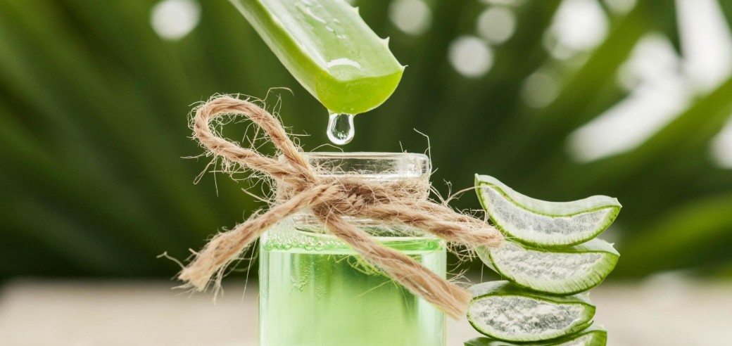  L'Aloe Vera, Votre atout bien-être