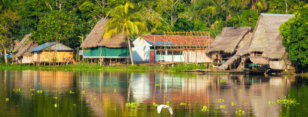 L'Amazonie : une nouvelle approche historique et ethnologique