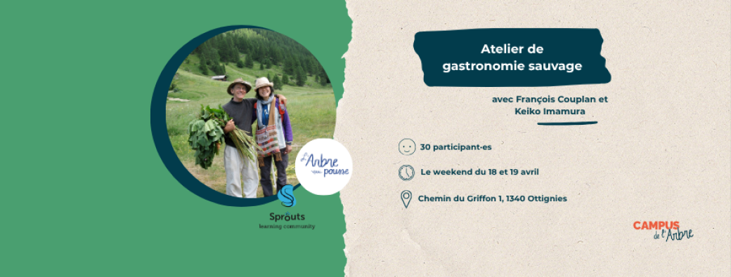 Rencontre avec le monde des plantes sauvages comestibles 