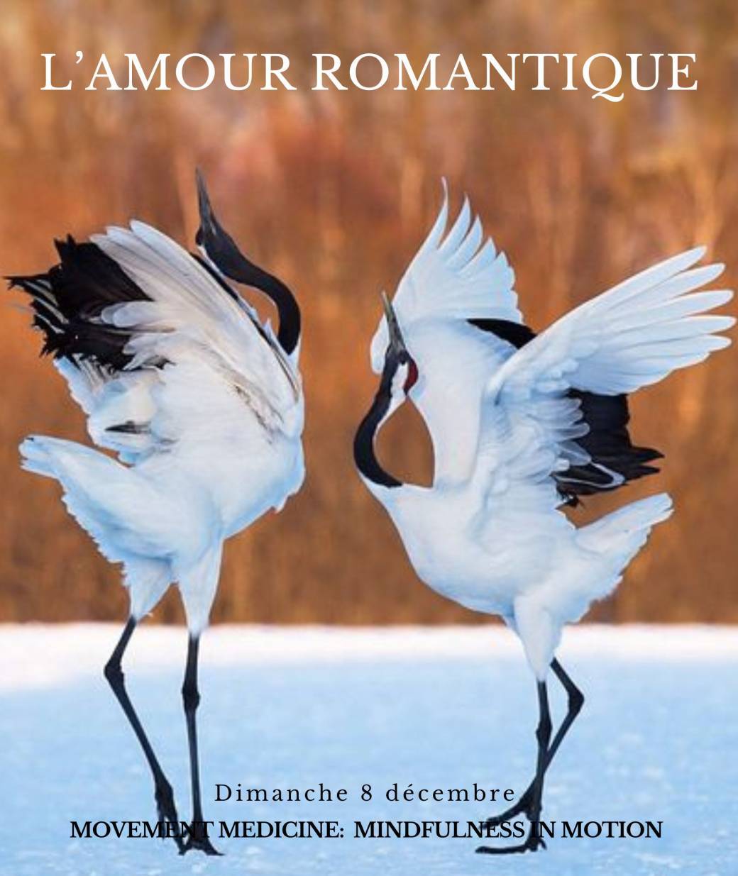 l'amour romantique 