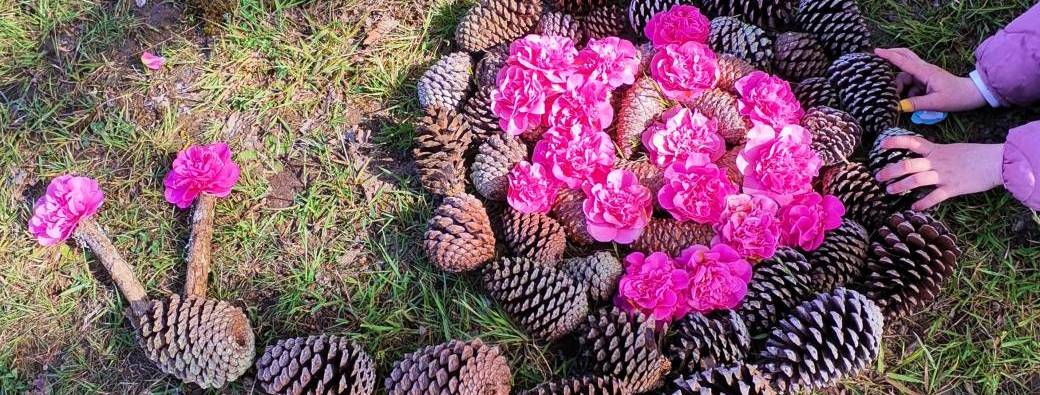 Land Art sous les arbres
