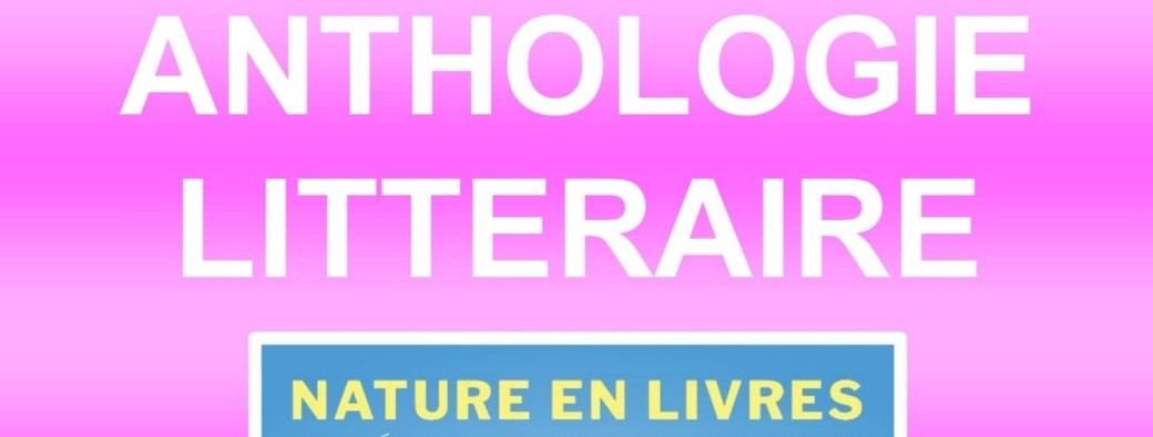 L'Anthologie 2024 (adhérent)