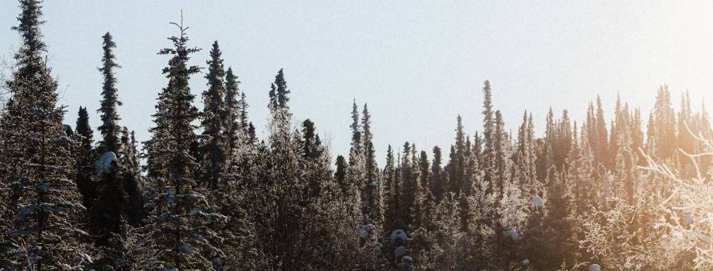 L'appel du Silence - Lyon