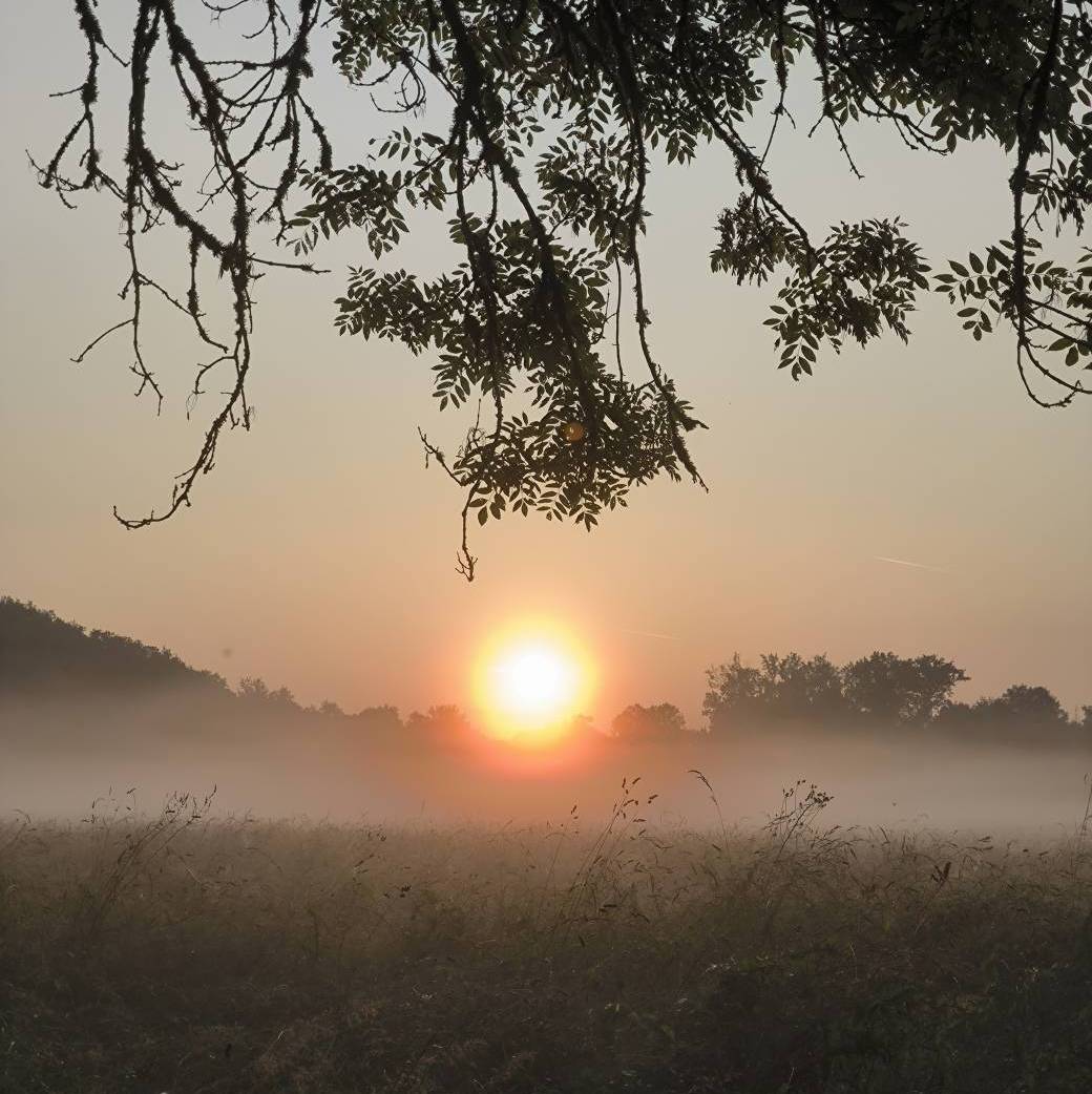 L'Appel du Soleil