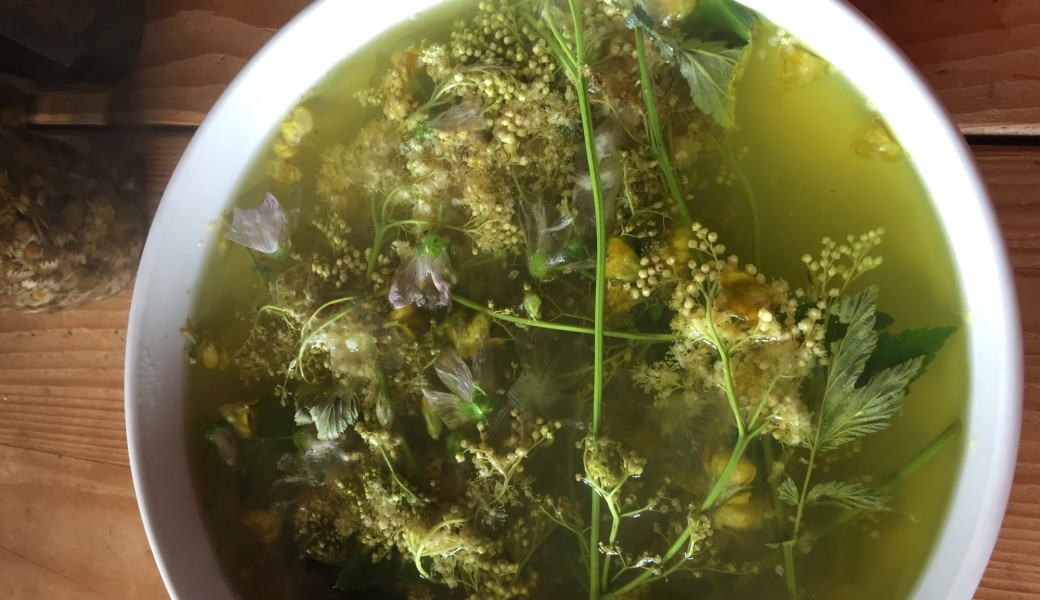 L'art de la tisane