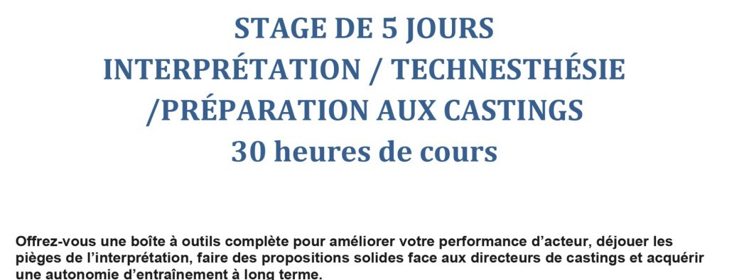 L'ART et LA TECHNIQUE DE L'ACTEUR 