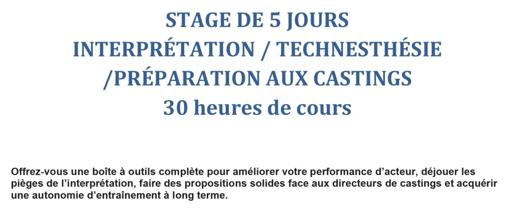 L'ART ET LA TECHNIQUE DE L'ACTEUR