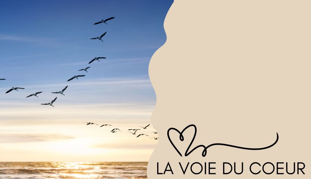 LA VOIE DU COEUR