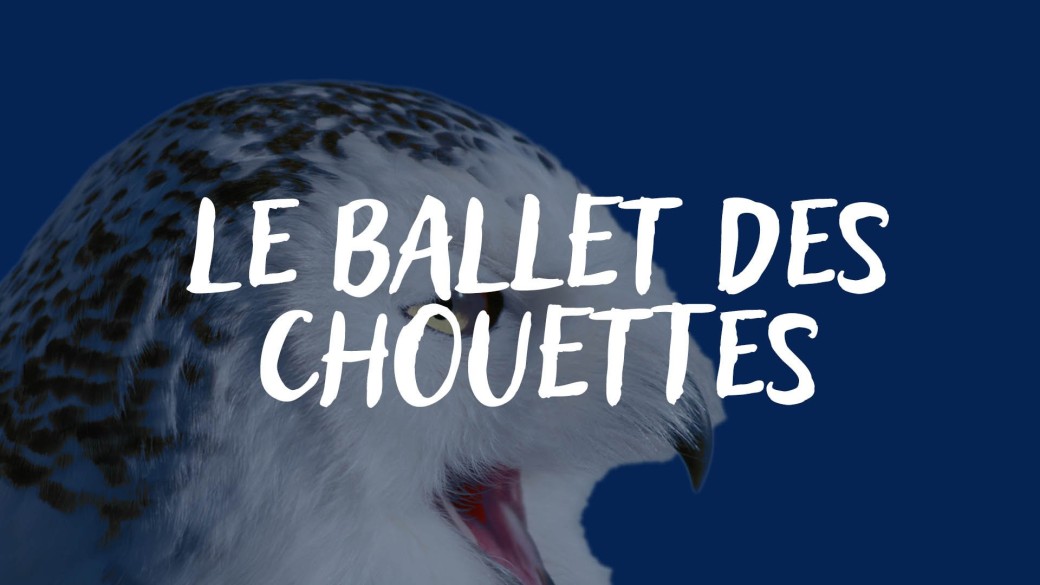 LE BALLET DES CHOUETTES
