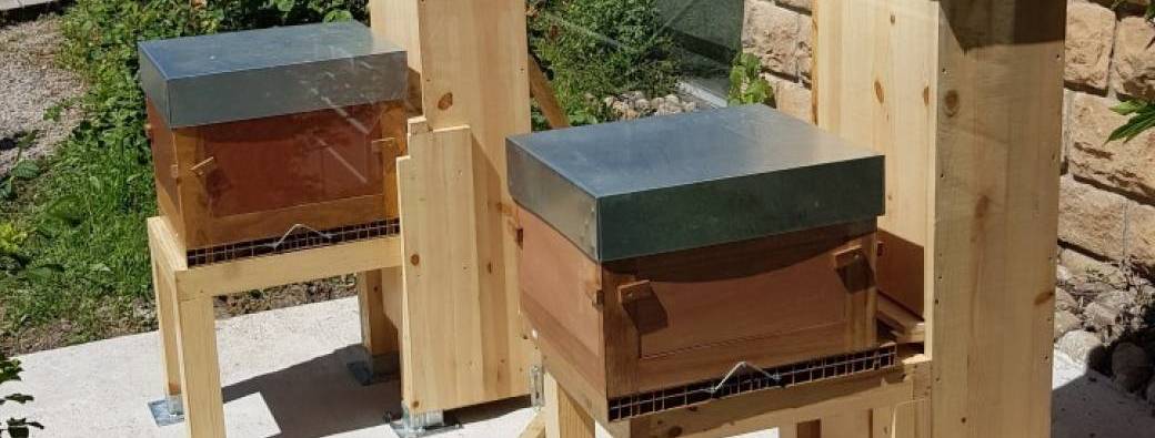 Le campus Métare, un refuge exemplaire de la Biodiversité