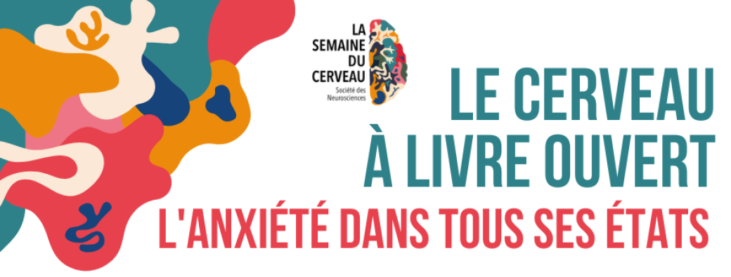 L'anxiété dans tout ses états