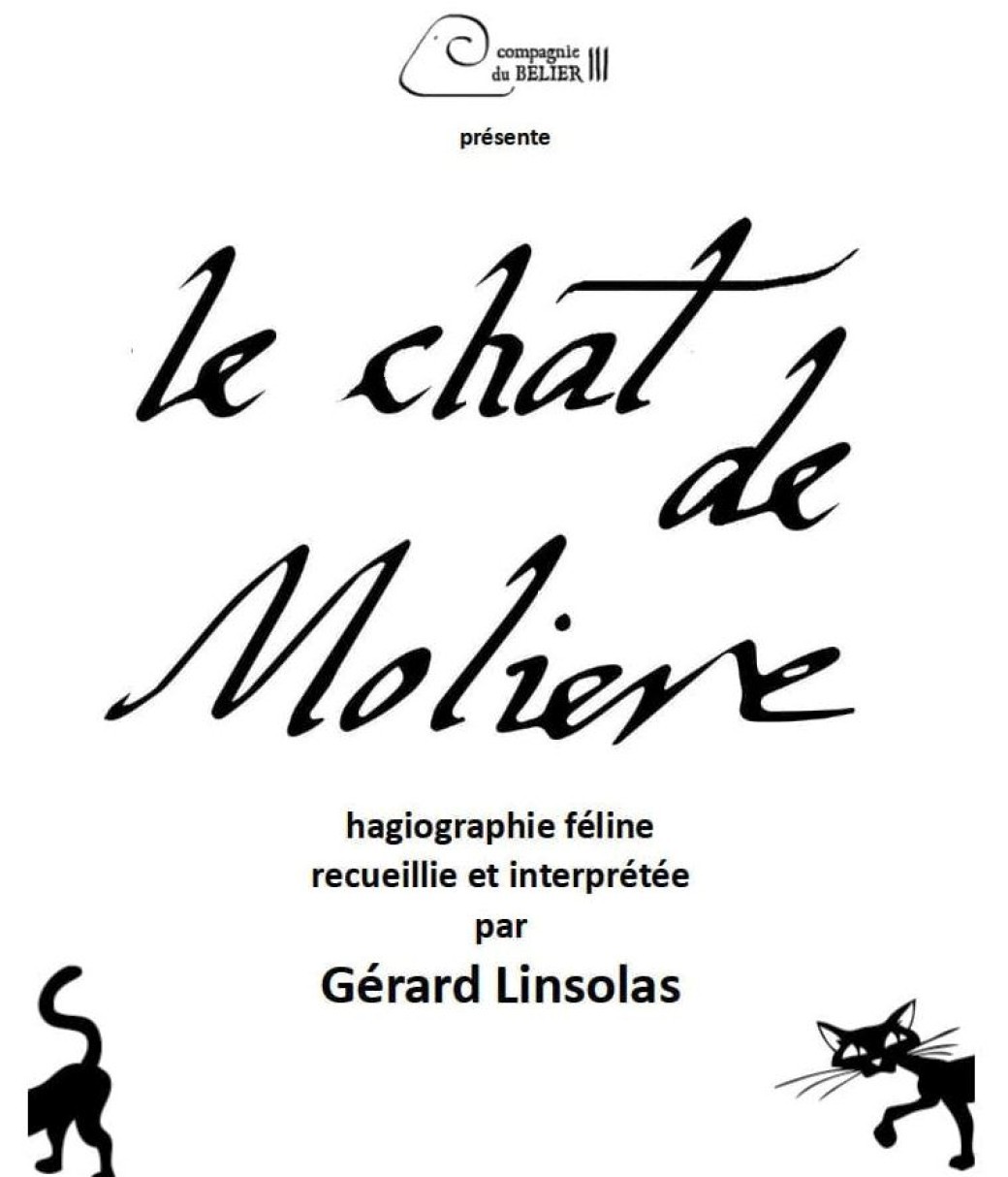 Le chat de Molière