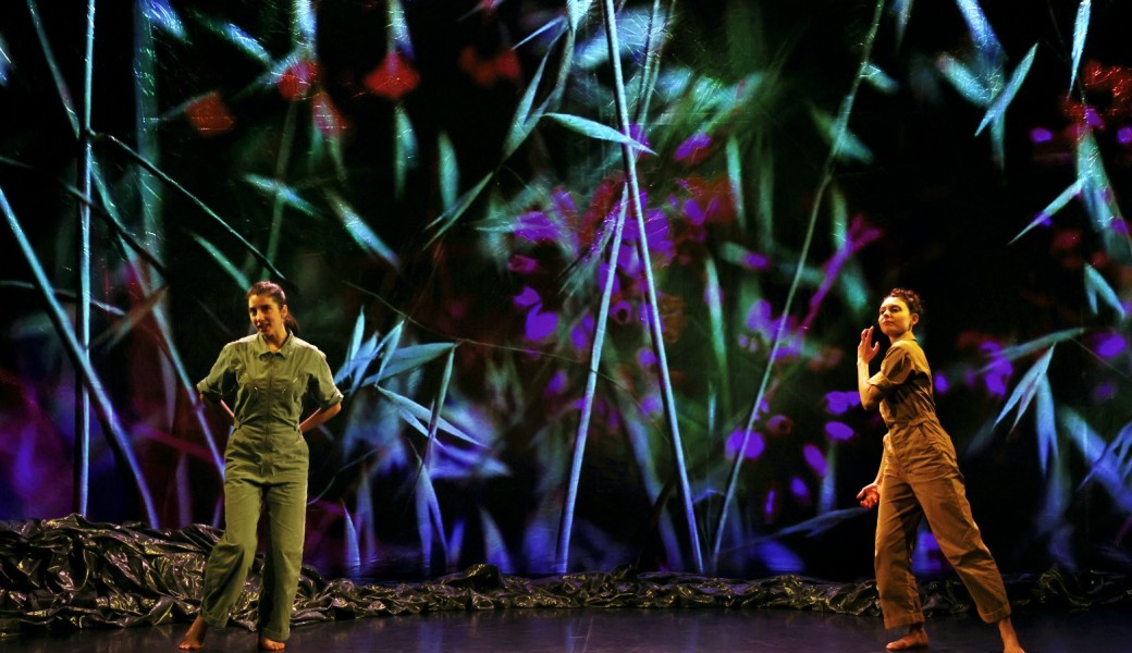 Le Chemin du wombat au nez poilu - Salle 1 Le Hangar