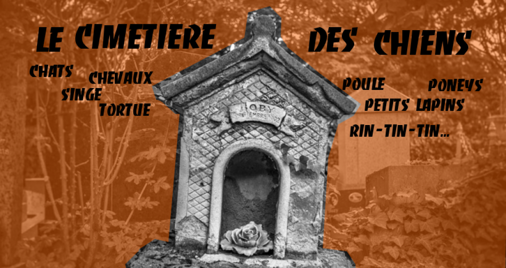 Le cimetière des chiens - Visite guidée à prix libre