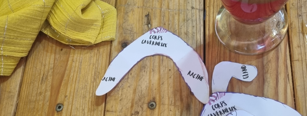 Le Clitoris prend forme