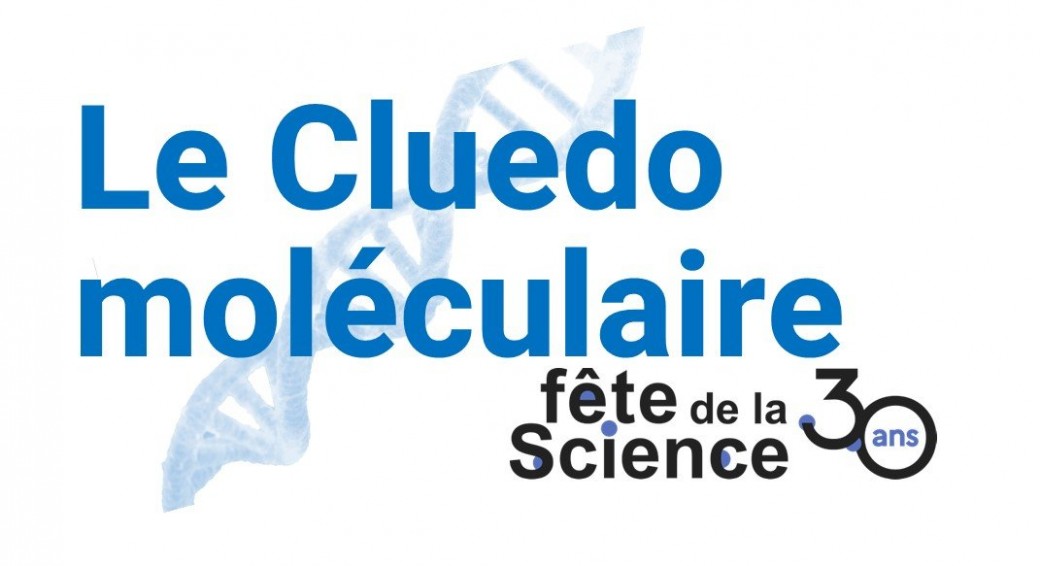 Le Cluedo moléculaire