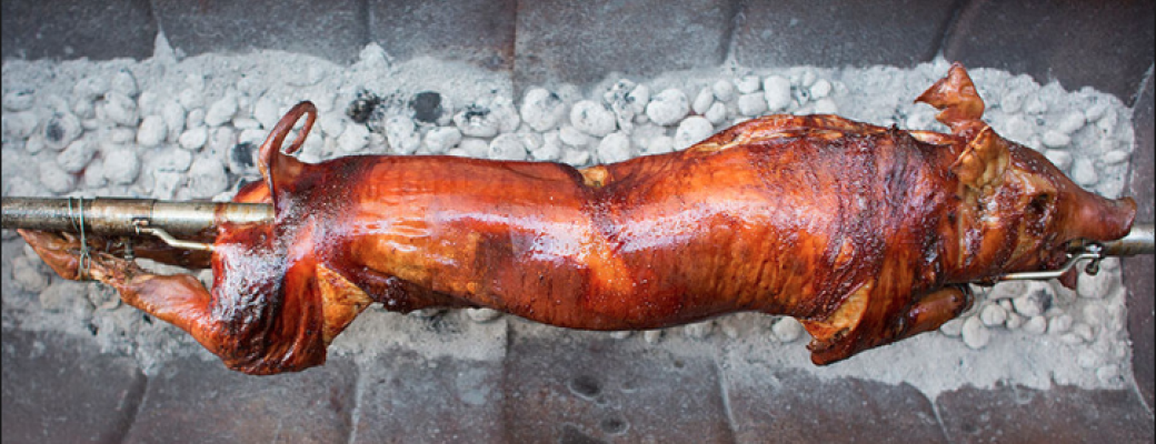 Le cochon de lait de la Garden Wake Party