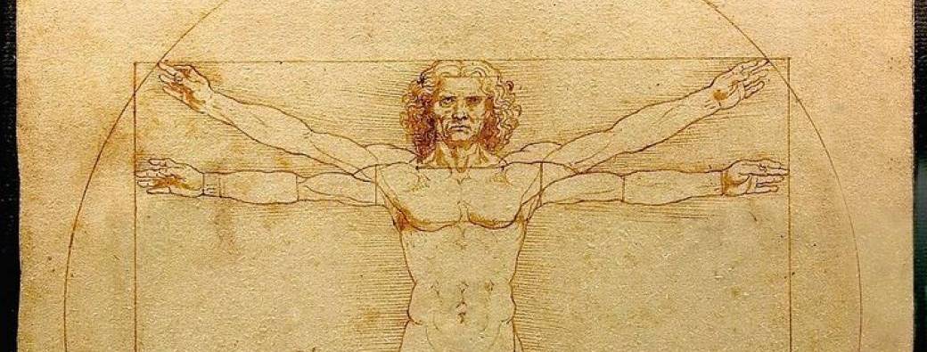 Stage dessiner le corps humain #1