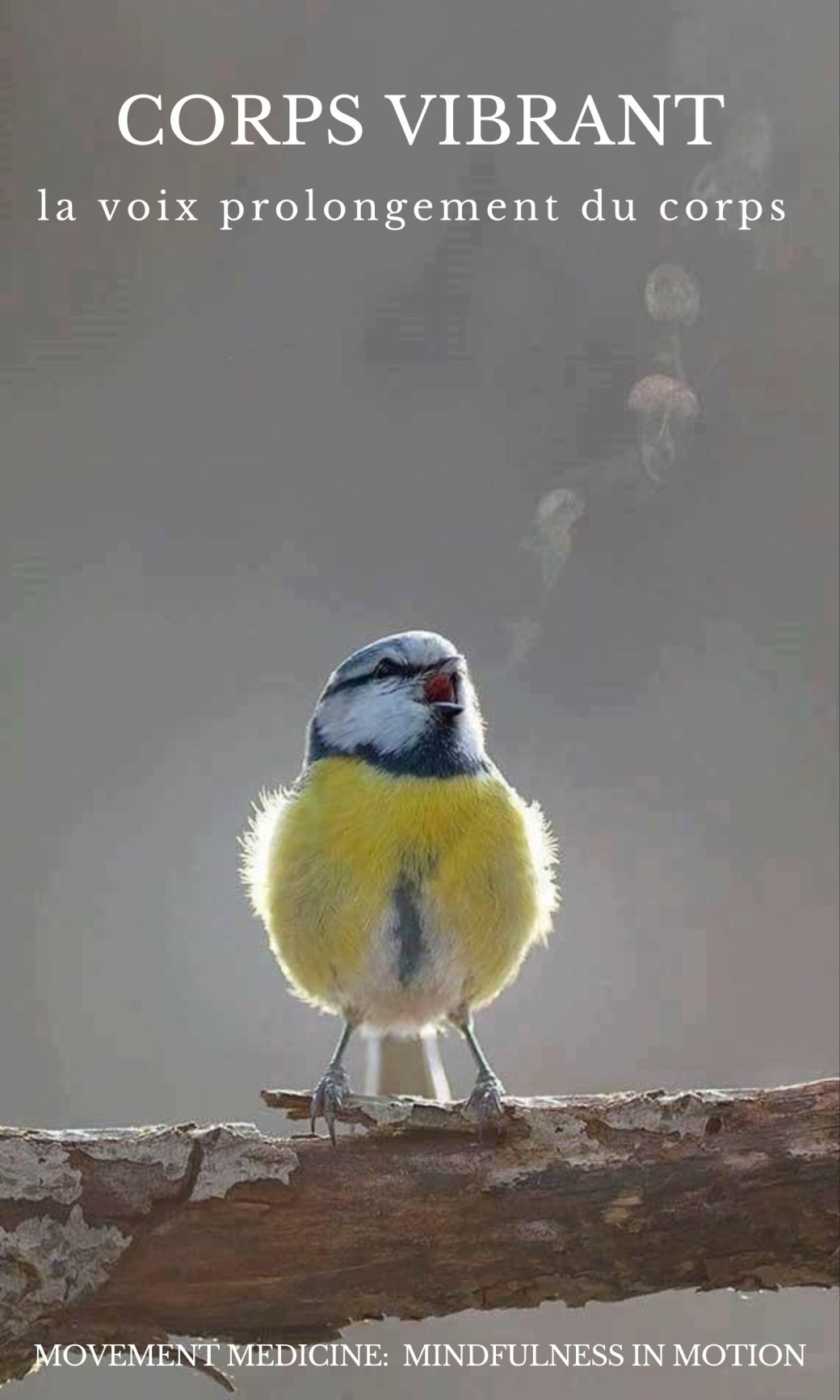 Le corps vibrant
