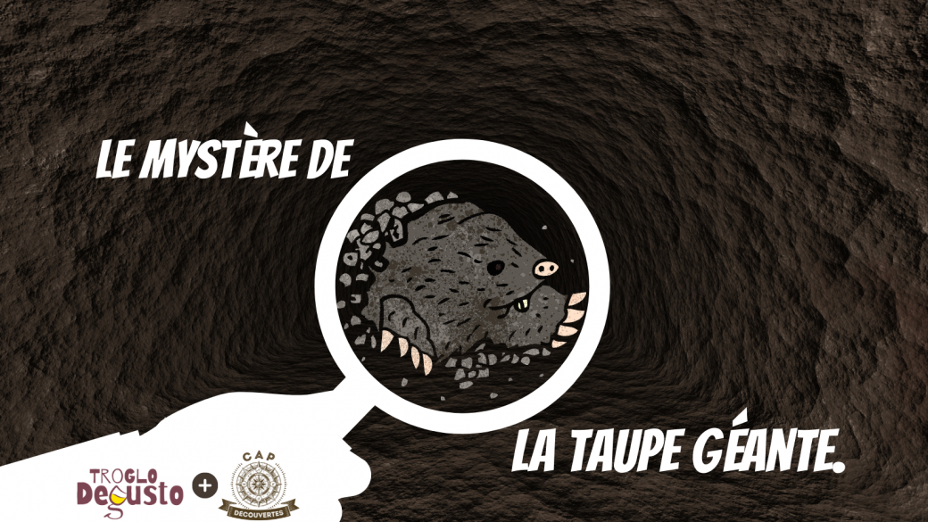 Le défi du carrier