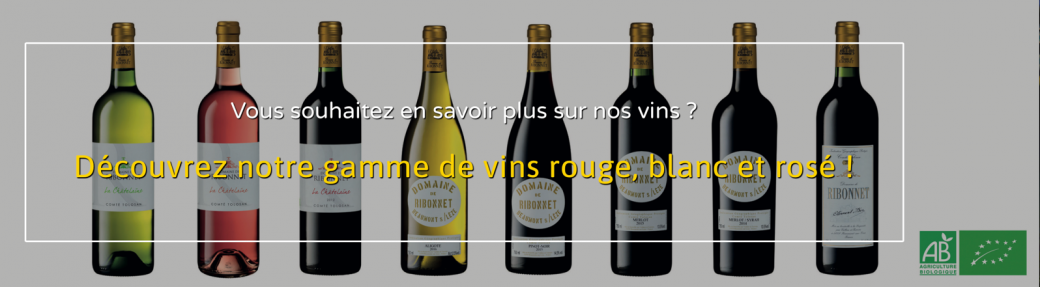 Le Domaine Ribonnet nous accueille !