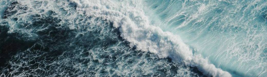 LE FIL DE LA MER -  Fresque Océane & Thibaut Barreyre  (CNRS)