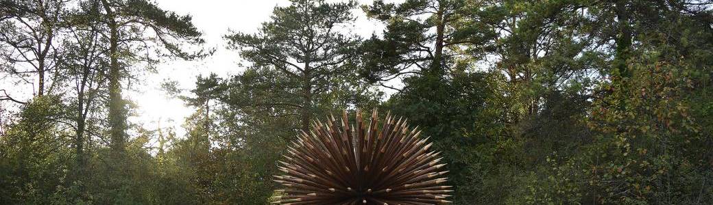Le Forez, paysage artistique - Rencontre avec Vincent Mauger