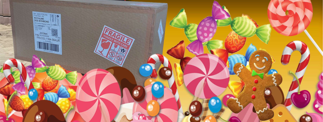 LE GARDIEN ET LE COLIS MYSTERIEUX