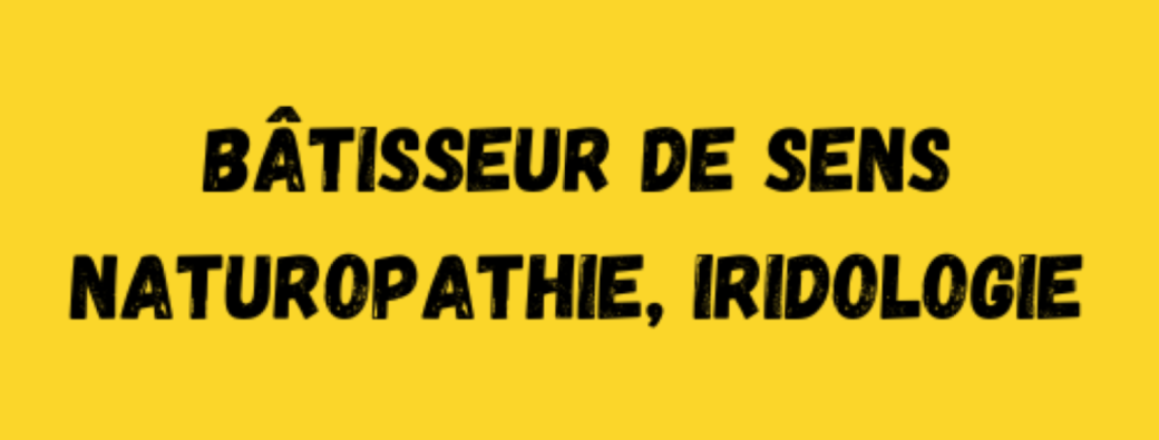 Le Grand Audit de l'Été : Comprendre et reconstruire sa réserve de vitalité