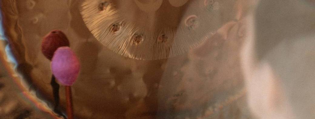 Le grand bain - voyage gongs et cristal