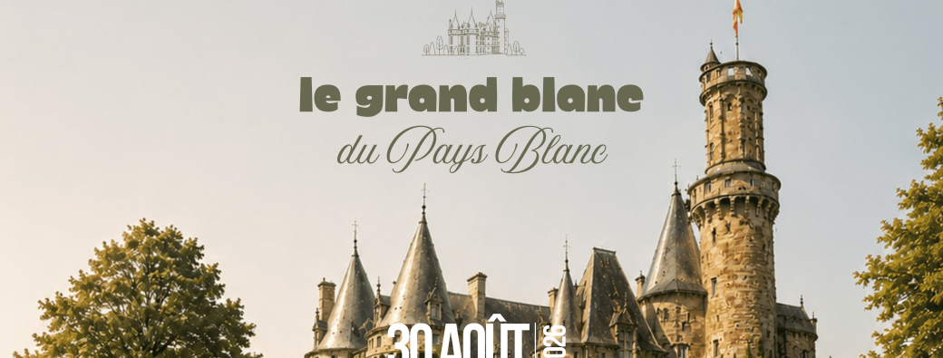 Le grand blanc du Pays Blanc par le Château d'Antoing