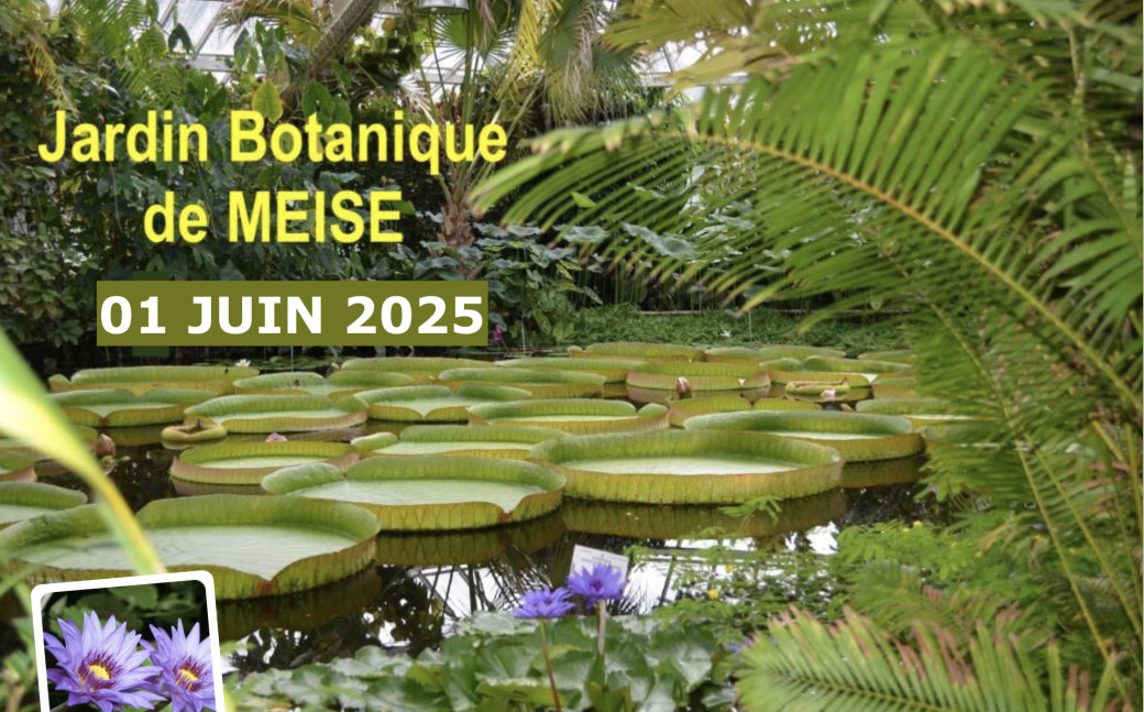 Le Jardin Botanique de MEISE 