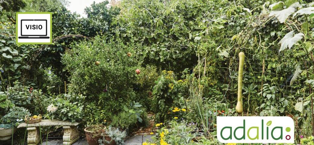 Le jardin forêt : du fonctionnement à la conception (visioconférence)