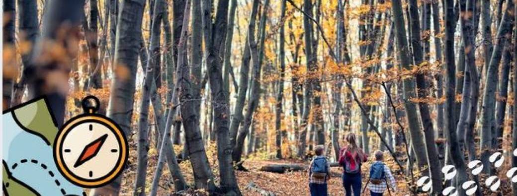 Le labyrinthe de la forêt ( 8-13 ans)