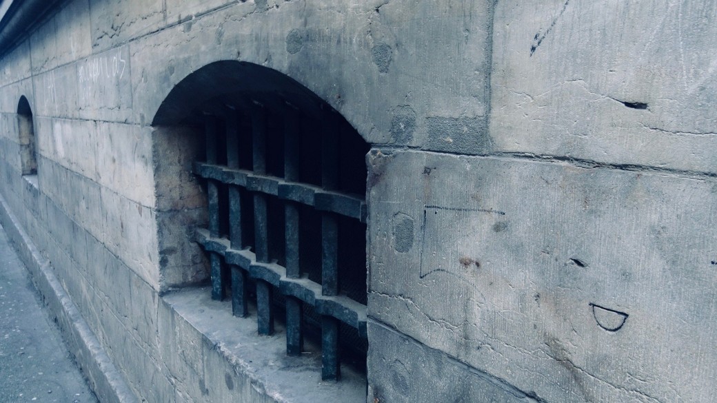 Le Lyon du crime (+ quizz)