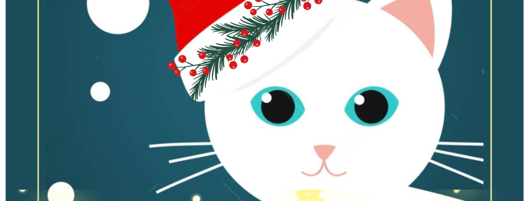 Le merveilleux chat de Noël (1-5 ans)