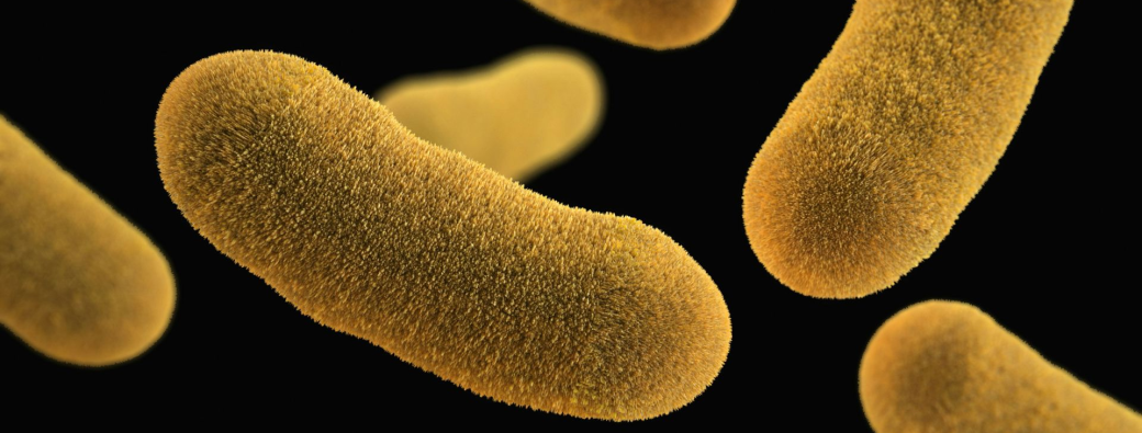 Le microbiote intestinal et la santé mentale