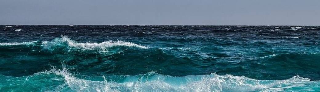 Le monde mystérieux des post-larves dans le Black Water