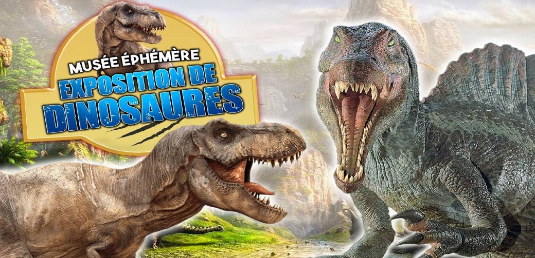 Le Musée Ephémère à Perpignan