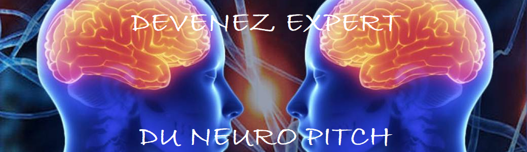 Le Neuro-Pitch (Micro-Learning)