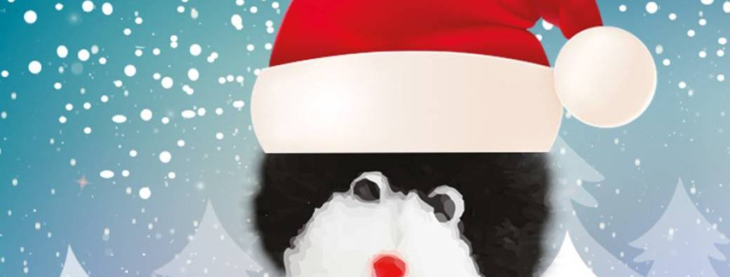 Le Noël de Patachon