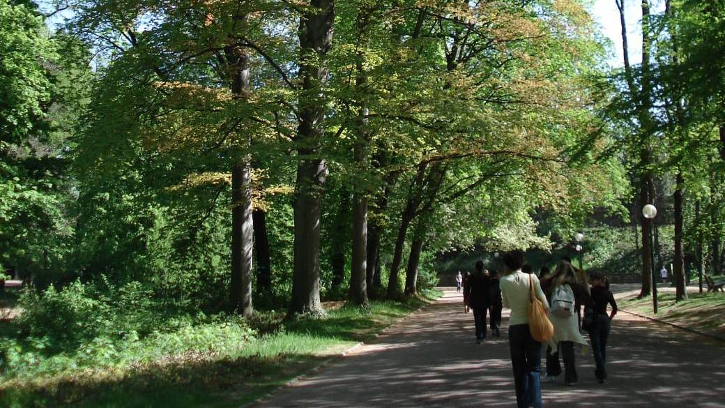 Le Parc de la tête d'or