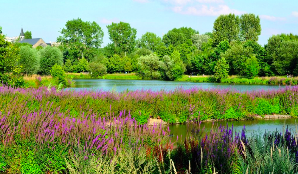 La vallée de la Pede (Anderlecht 7km facile))