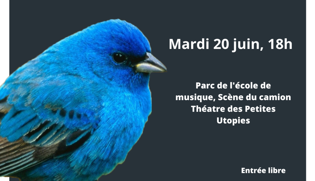 LE PAYSAGE SONORE : L'OISEAU MUSICIEN