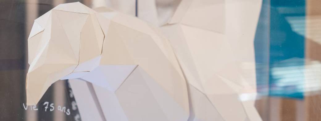 Petit albatros de papier