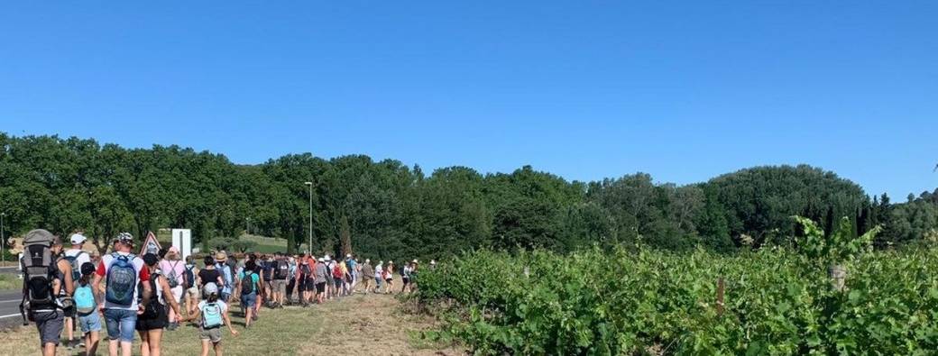 Le Pique-nique vignerons 