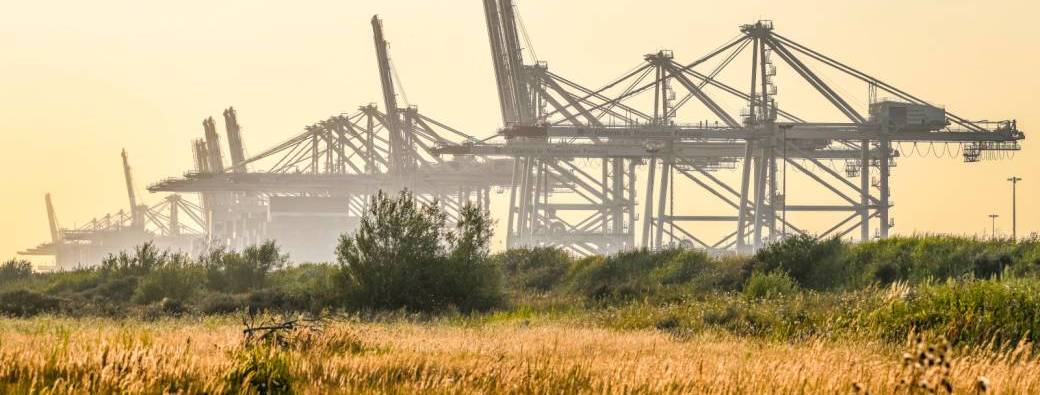 Le port du Havre, côté nature