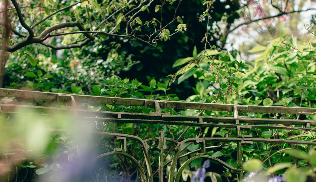 Le printemps au Musée Horta : visite en famille & atelier créatif