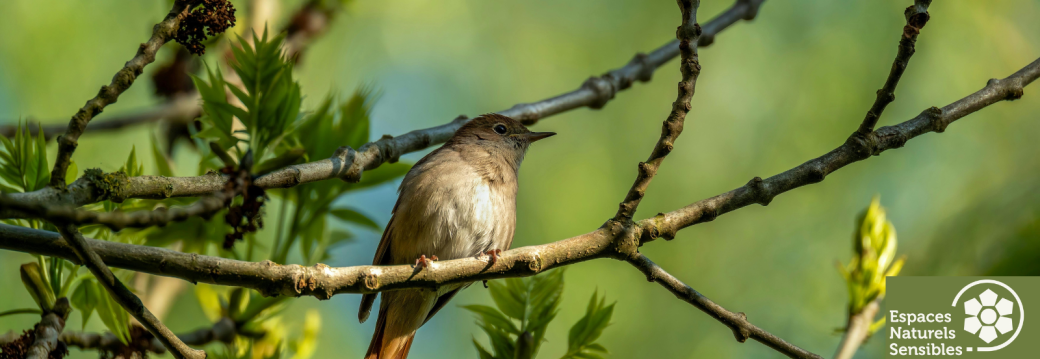 Le printemps de la biodiversité